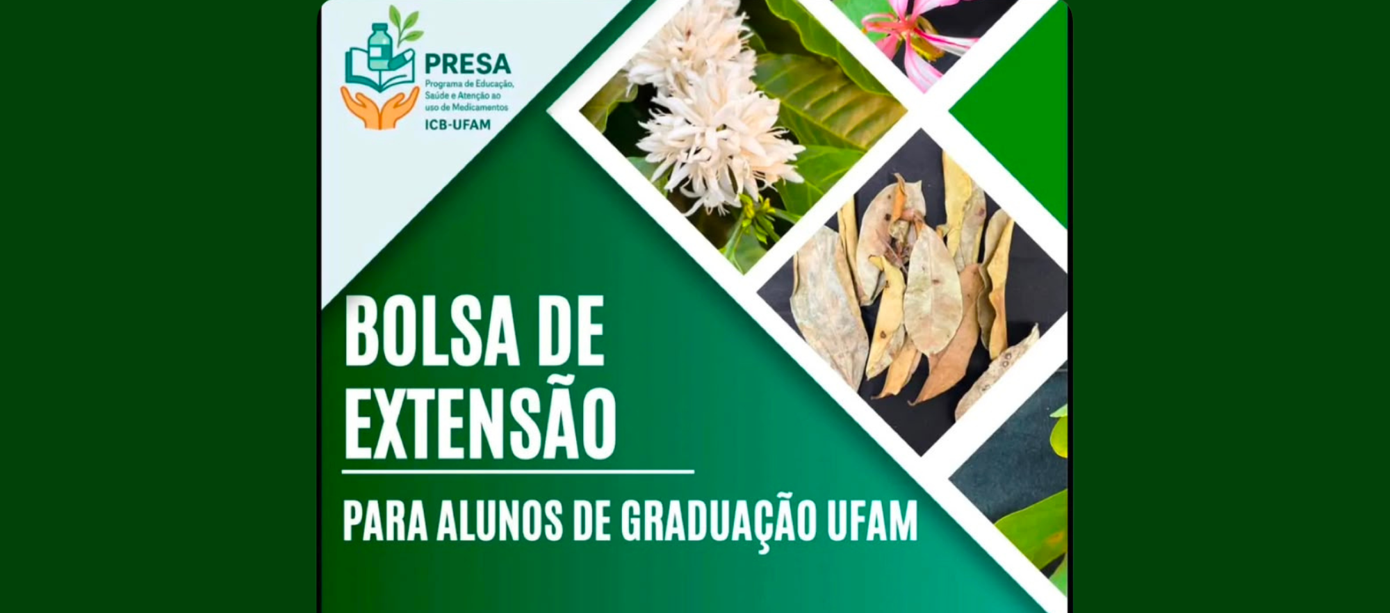 Foto da galeria de imagens: sem descrição informada.